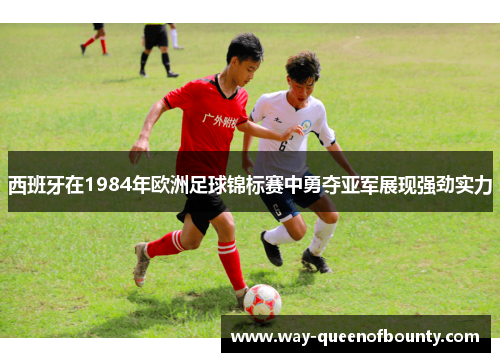西班牙在1984年欧洲足球锦标赛中勇夺亚军展现强劲实力