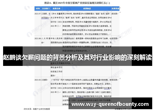 赵鹏谈欠薪问题的背景分析及其对行业影响的深刻解读