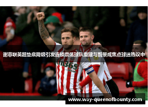 谢菲联英超垫底降级引发连锁震荡球队重建与前景成焦点球迷热议中