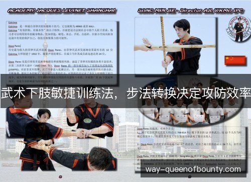 武术下肢敏捷训练法,步法转换决定攻防效率 武术下肢敏捷训练法,步法转换决定攻防效率